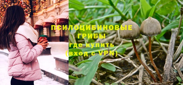 ALPHA PVP Медвежьегорск