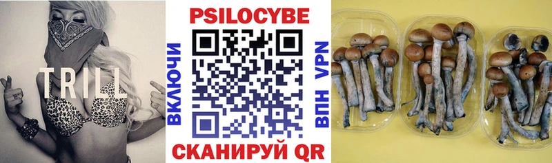 Псилоцибиновые грибы Psilocybine cubensis  Чернушка 