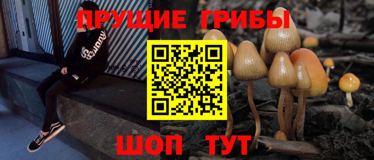 Галлюциногенные грибы MAGIC MUSHROOMS Чернушка