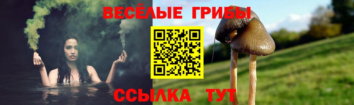 Псилоцибиновые грибы Magic Shrooms  цена наркотик  Чернушка  Псилоцибиновые грибы Cubensis 